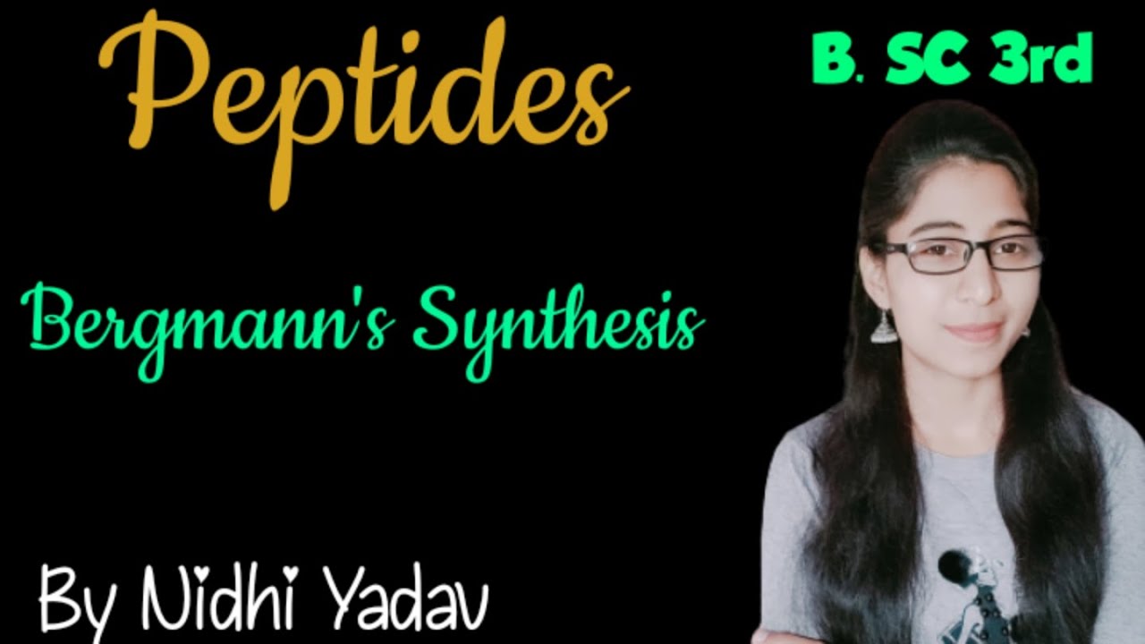Bergmann's Synthesis /Liquid State Peptide synthesis /Synthesis of Peptides /Peptides B. SC. 3rd