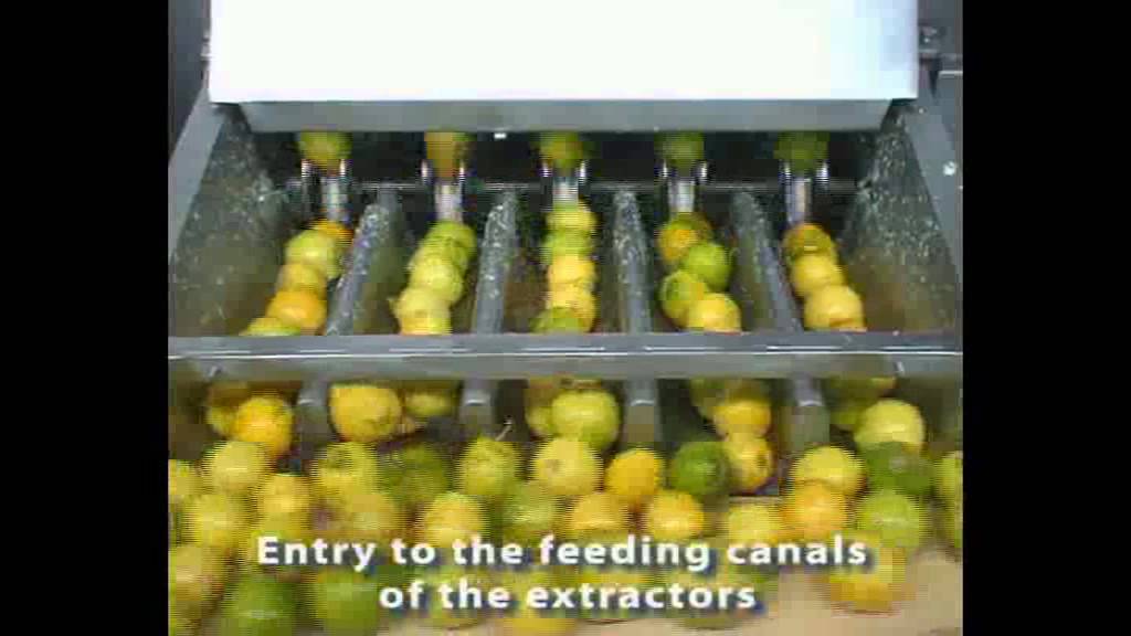 TRIOWIN | Citrus concentrate juice processing Line~Citrus juice Production Line in china