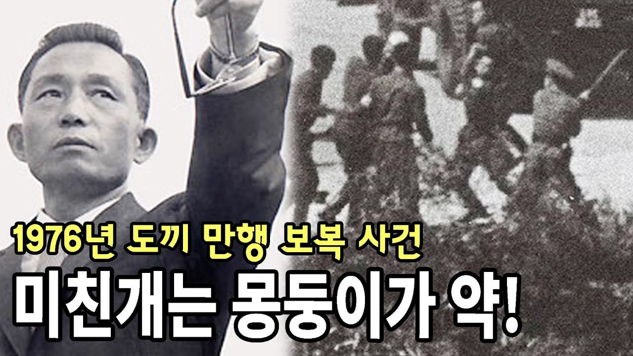 1976년 미군 모르게 도끼 만행 사건 보복을 지시한 박정희