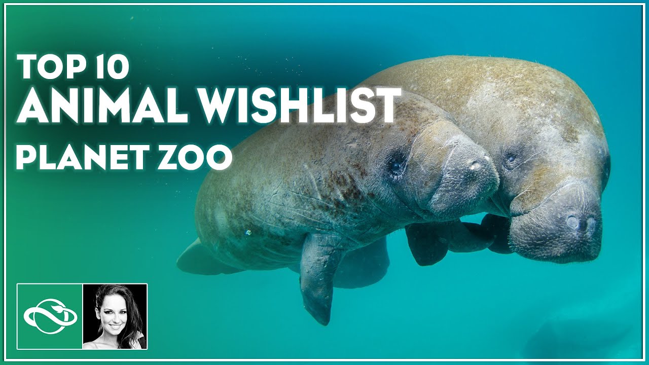 ▶ Top 10 ANIMAL WISHLIST for Planet Zoo | Must-Have Additions!