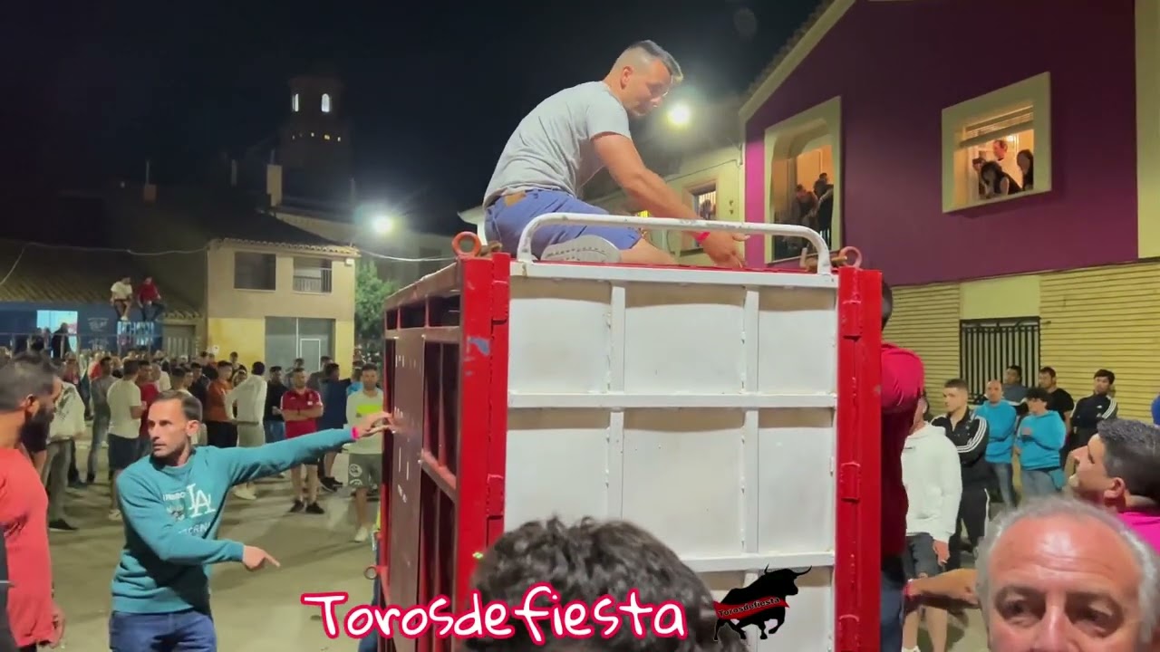 Toro embolado en Torres de Berrellén G. Enrique Domínguez