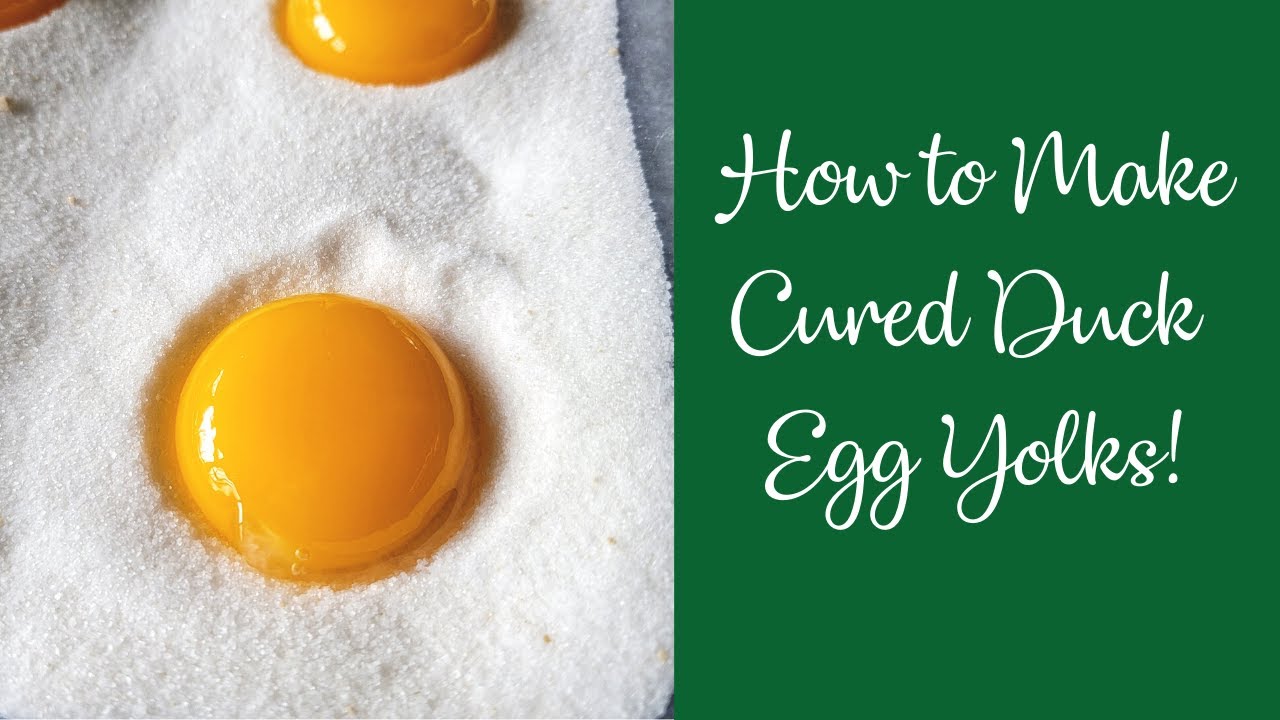 Celebrating National Egg Month - Cured Duck Egg Yolks!
