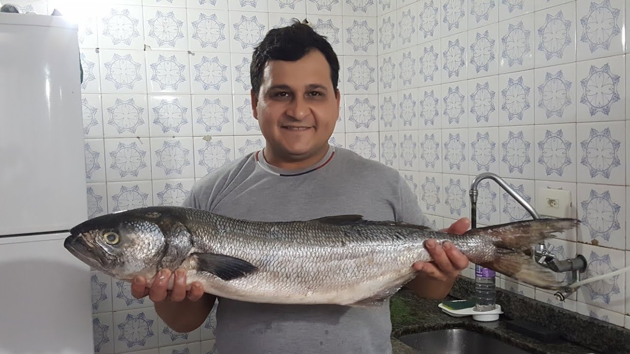 Anchova grande o melhor peixe para comer grelhado top de mais