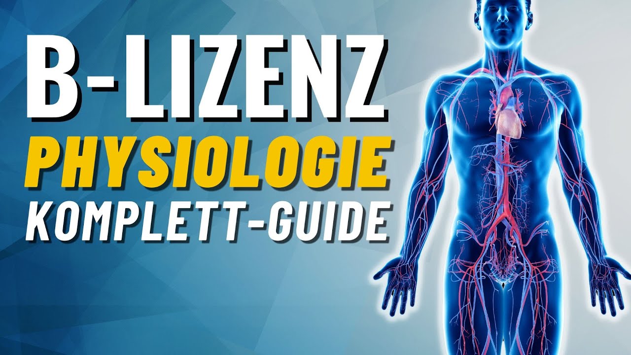 Physiologie Komplettguide! Herz-Kreislaufsystem & Lunge einfach erklärt (B-Lizenz Prüfungsstoff)