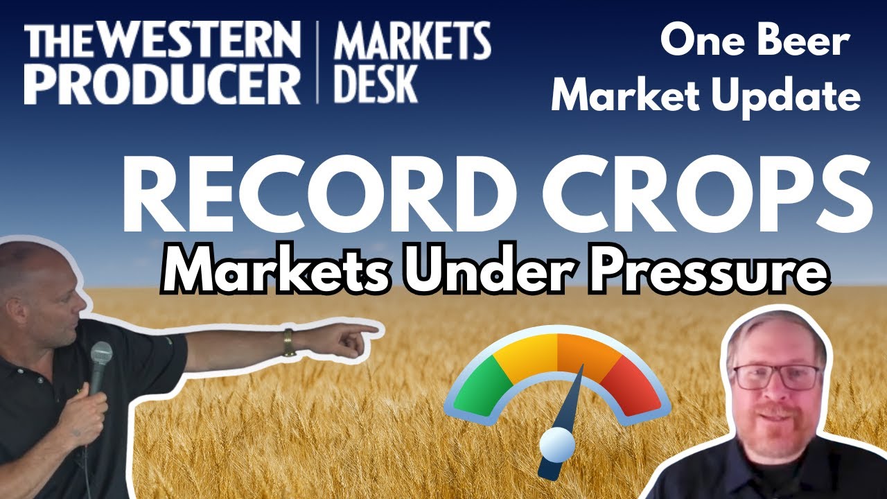 StatsCan Insights: Huge Wheat & Canola Crops Confirmed – Price Impact | One Beer Market Update Ep.5