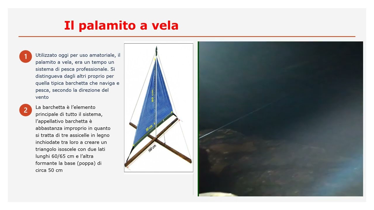 Palamito a Vela. Il palamito è un lungo trave a cui sono attaccati ad intervalli regolari