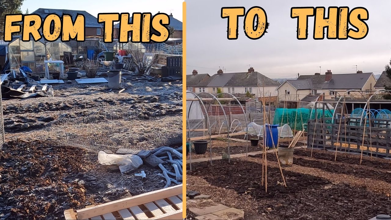 End Of February Tour Of Our Uk Allotment.  What A Difference a Month Makes!