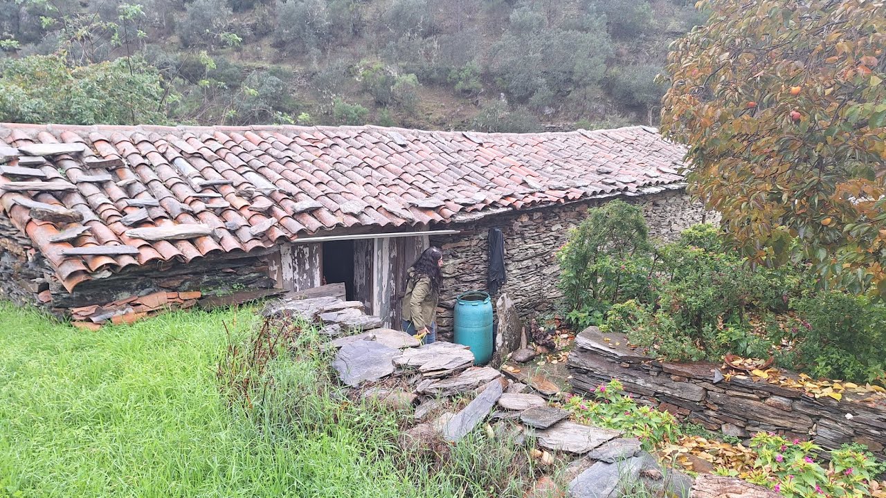 Central portugal 8k property, needs just a little input