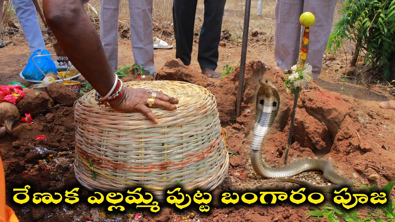 రేణుక ఎల్లమ్మ పుట్ట బంగారం పూజ 2022 | Yellamma putta bangaram Puja 2022 | Yellamma Panduga 2022