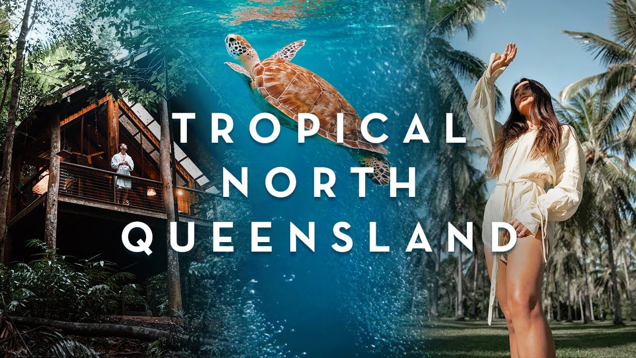 Epic Queensland Road Trip: Cairns, Port Douglas, Cape Tribulation, Atherton Tablelands (Travel Vlog)