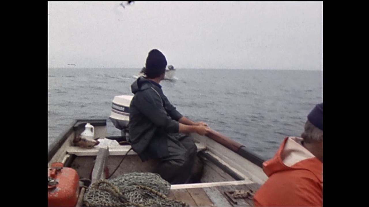 Land & Sea: Greenspond