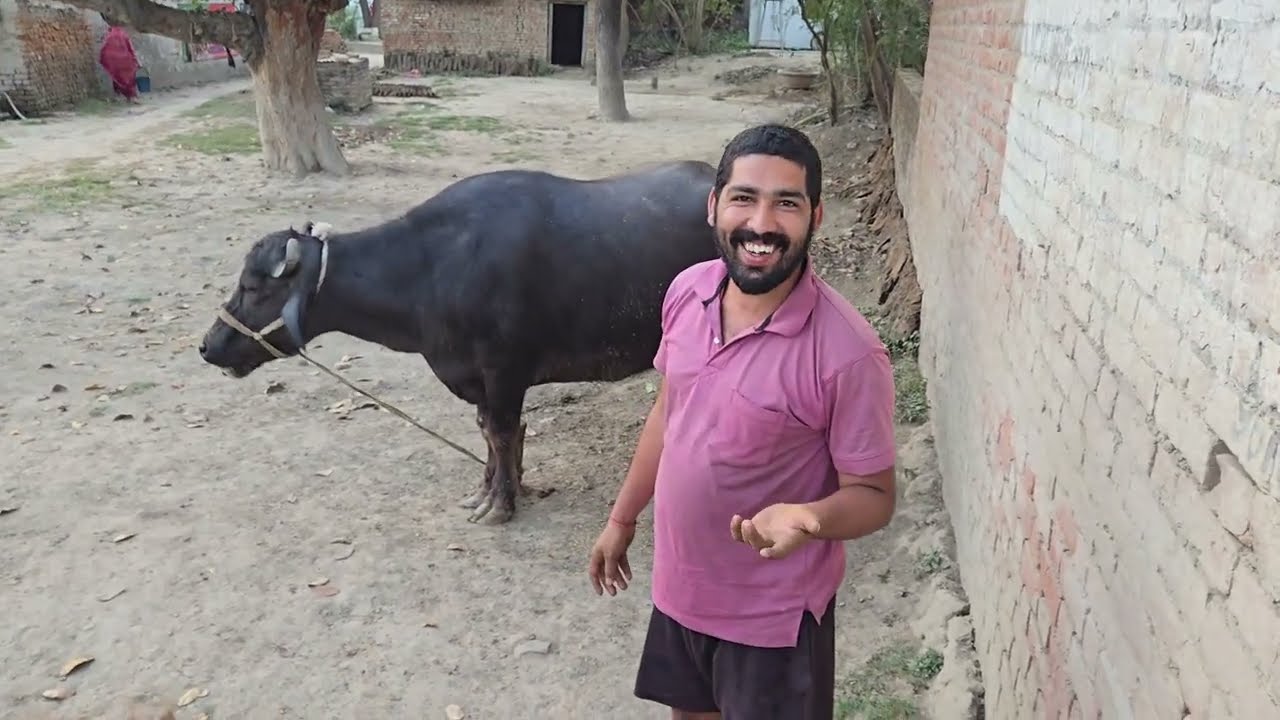 Aman bhai ka काम 