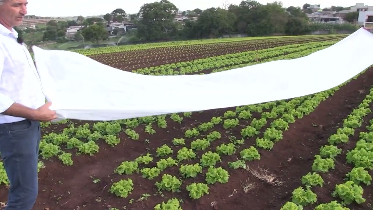Magrão das Hortaliças: agricultor é exemplo de amor pelo campo e pela família 