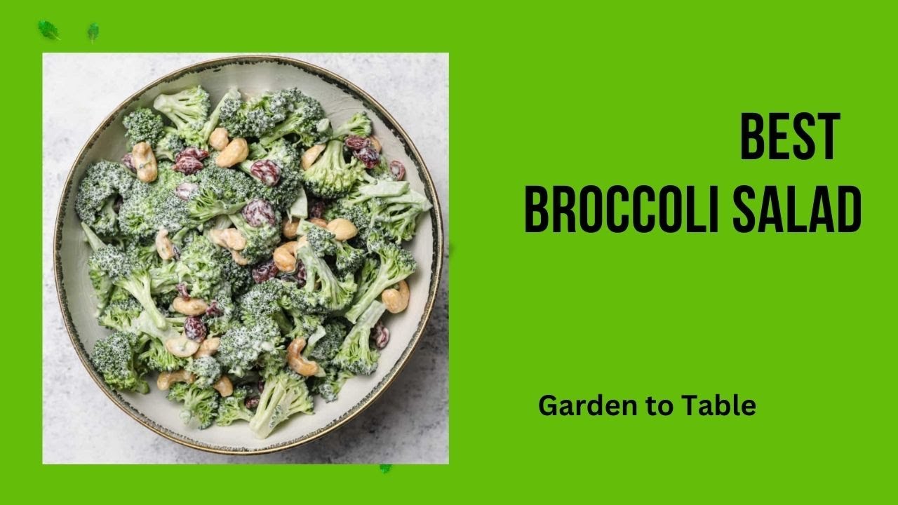 Best Creamy Broccoli Salad || Healthy Salad Recipe || Healthy Lunch