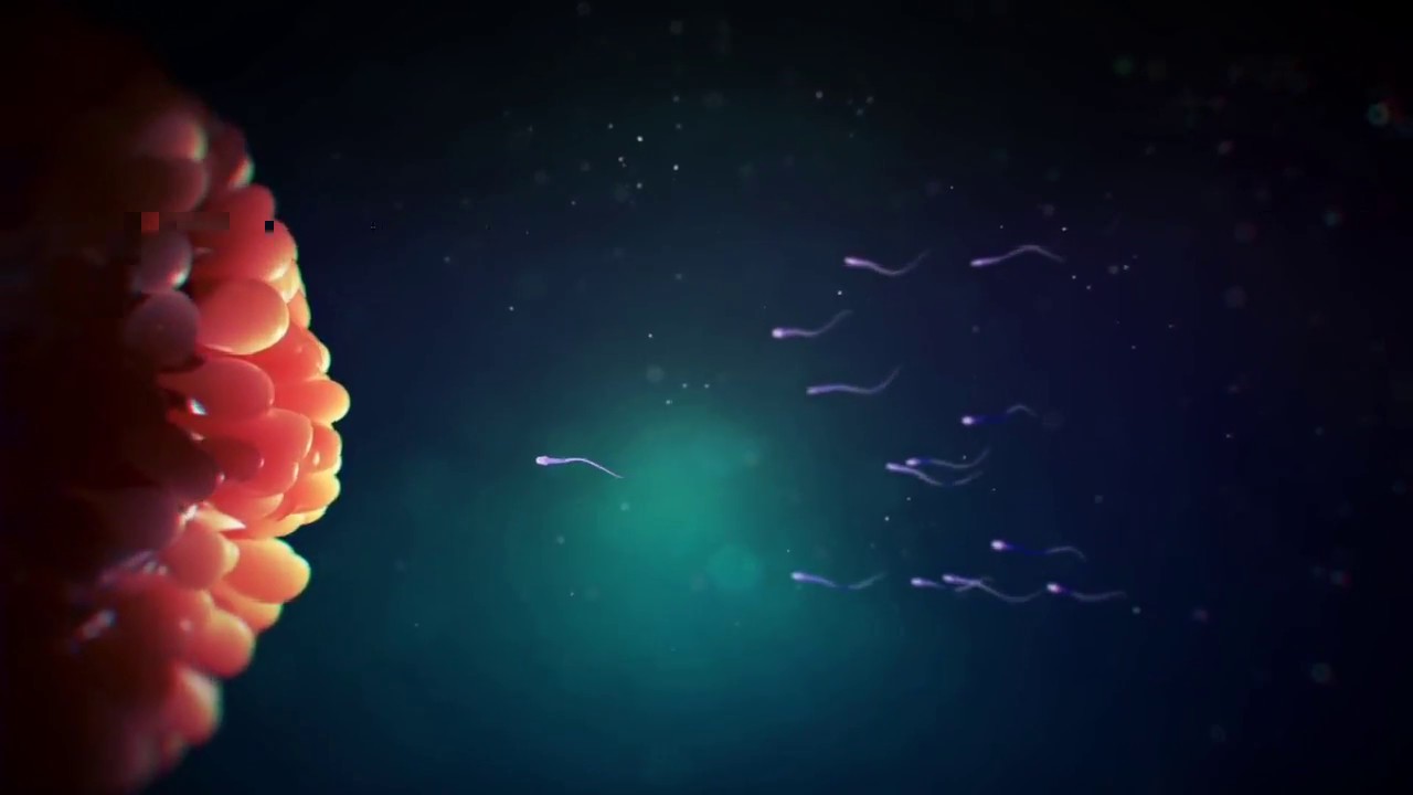 Unexplained Infertility Treatment In Surat - Pregnant After Years of Unexplained Infertility