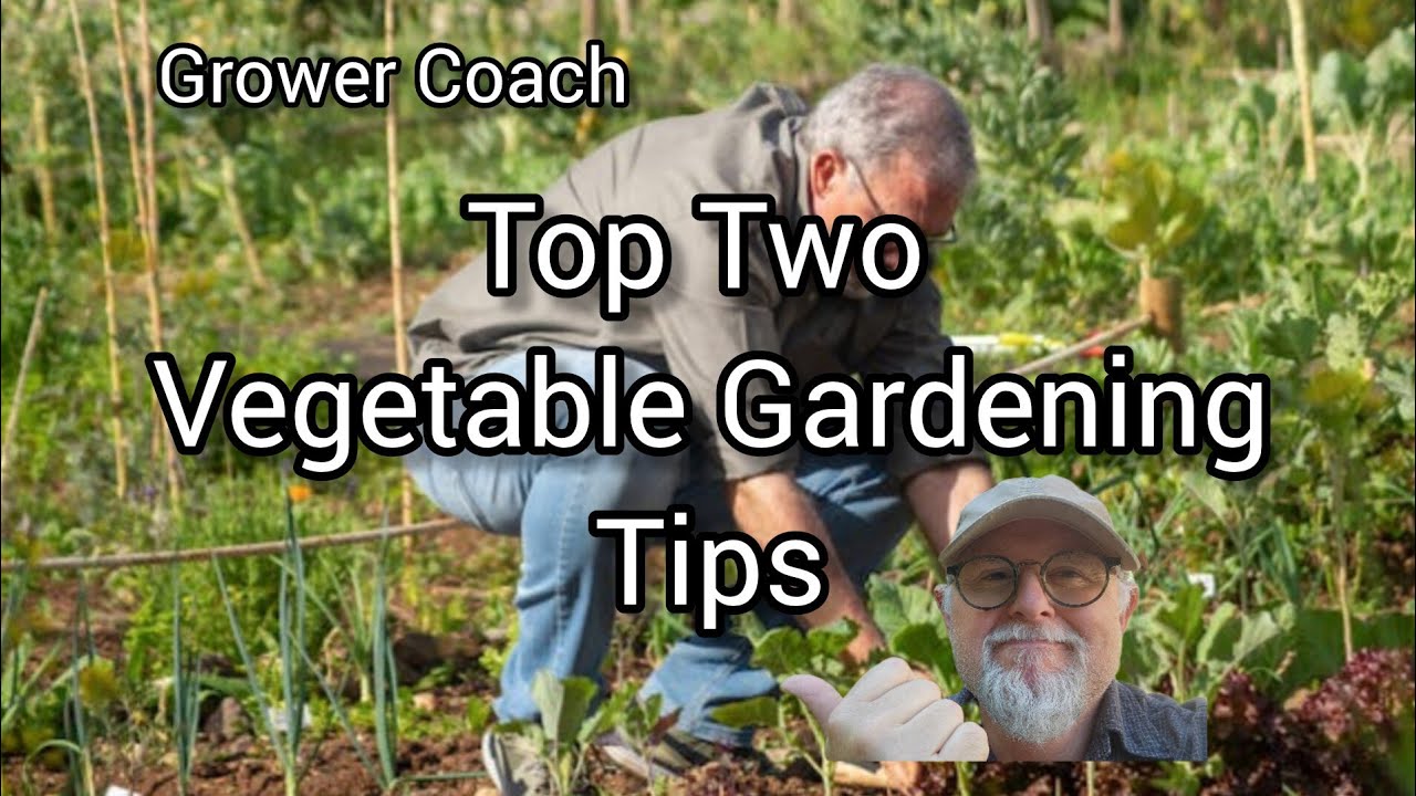 Vegetable Growing Tips! The top two garden tips.