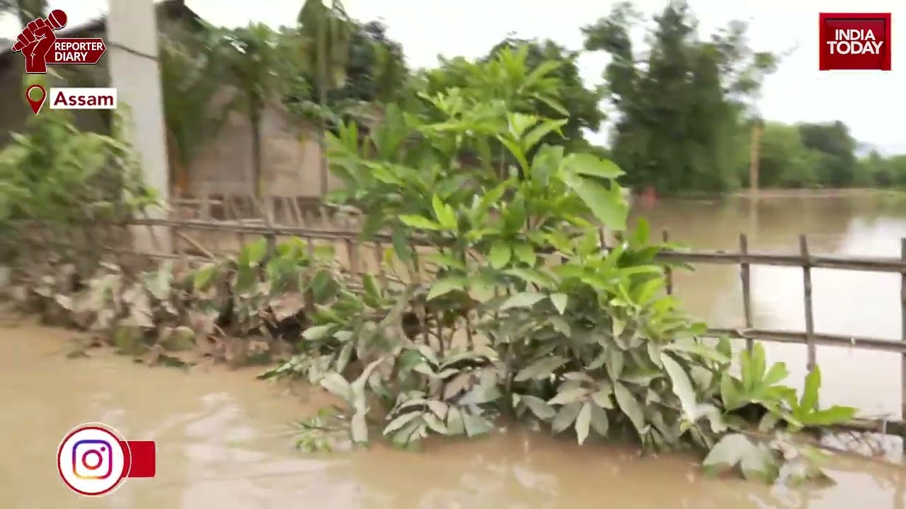 Assam: Flood Situation Continues To Remain Grim In Kampur | Reporter Diary