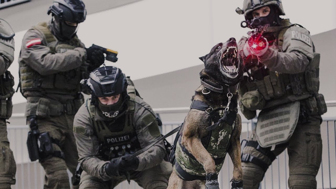 SOF & Elite Tactical Units | Police & Military motivation