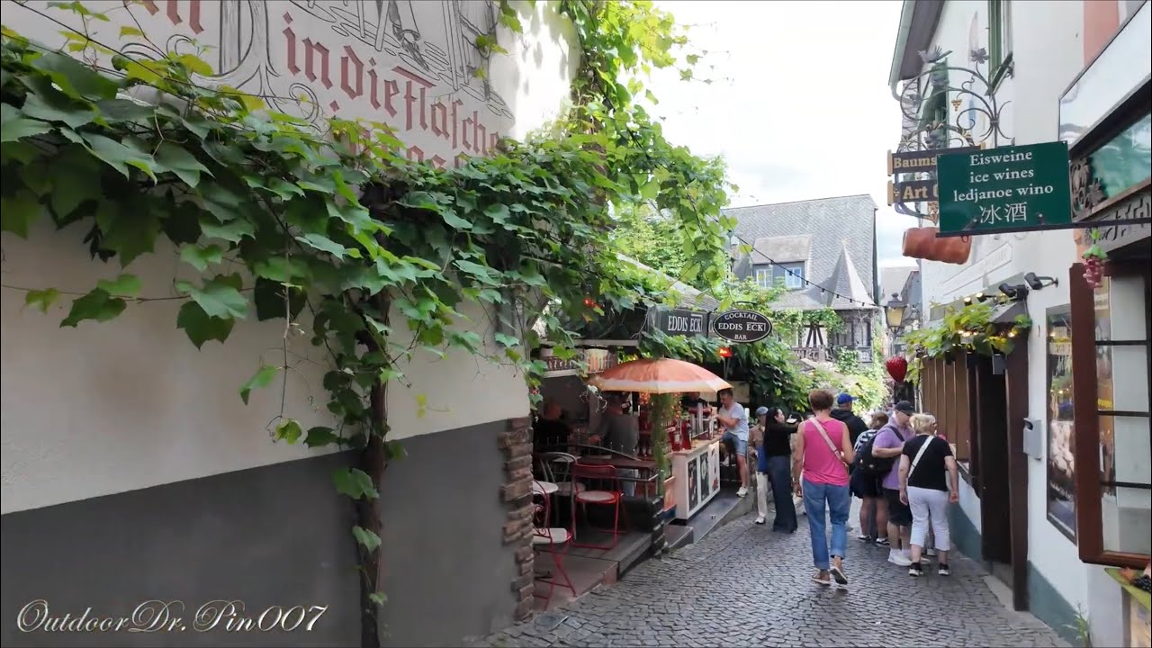 European River Cruise Episode 9: Enjoying the farm view and the city of Rudesheim, Germany