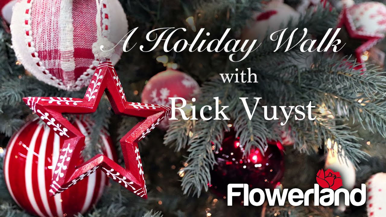 A Holiday Walk through Flowerland