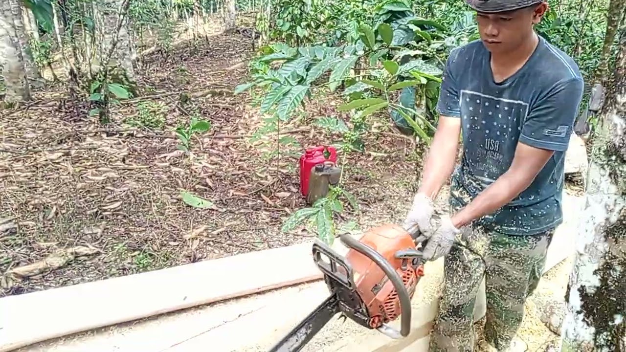 Kegiatan di kebon kopi 