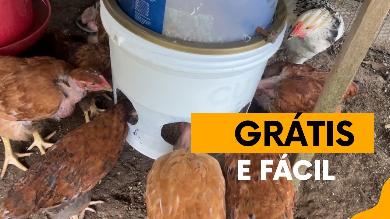 Como fazer O MELHOR COMEDOURO para GALINHAS, SEM DESPERDÍCIO passo a passo