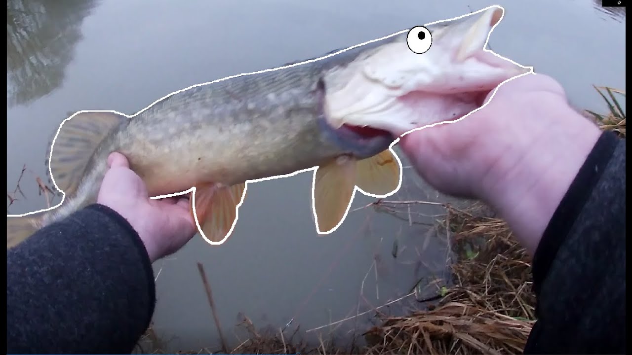 Catching drain pike untill disaster struck