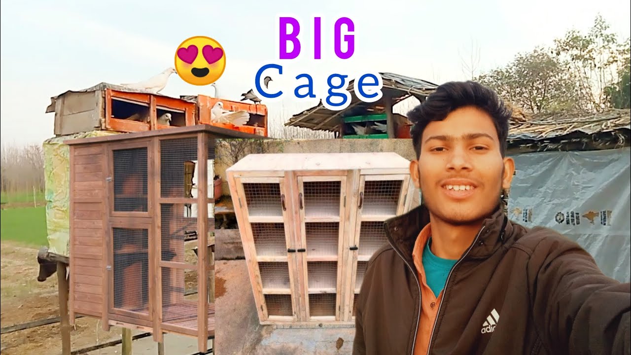 Hum Ek Big Cage Banva Rhe Hai (wood)Ka.😍