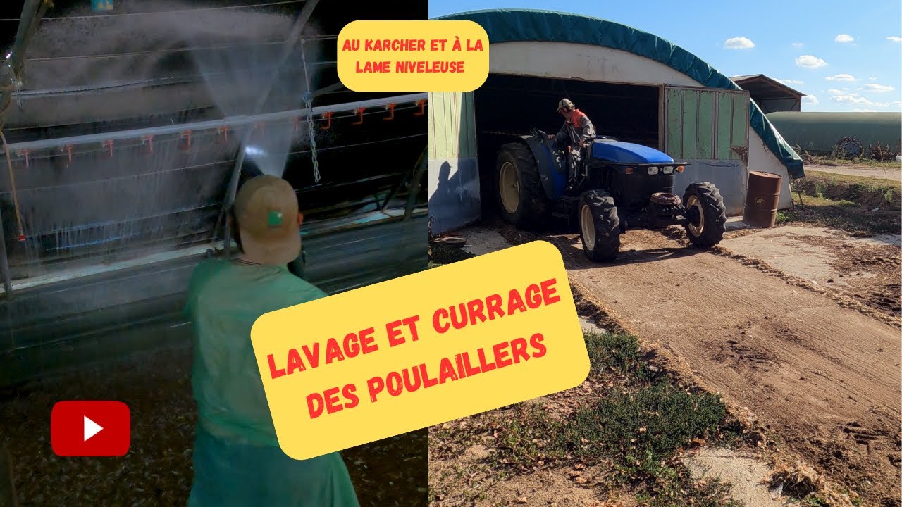 lavage et curage poulailler