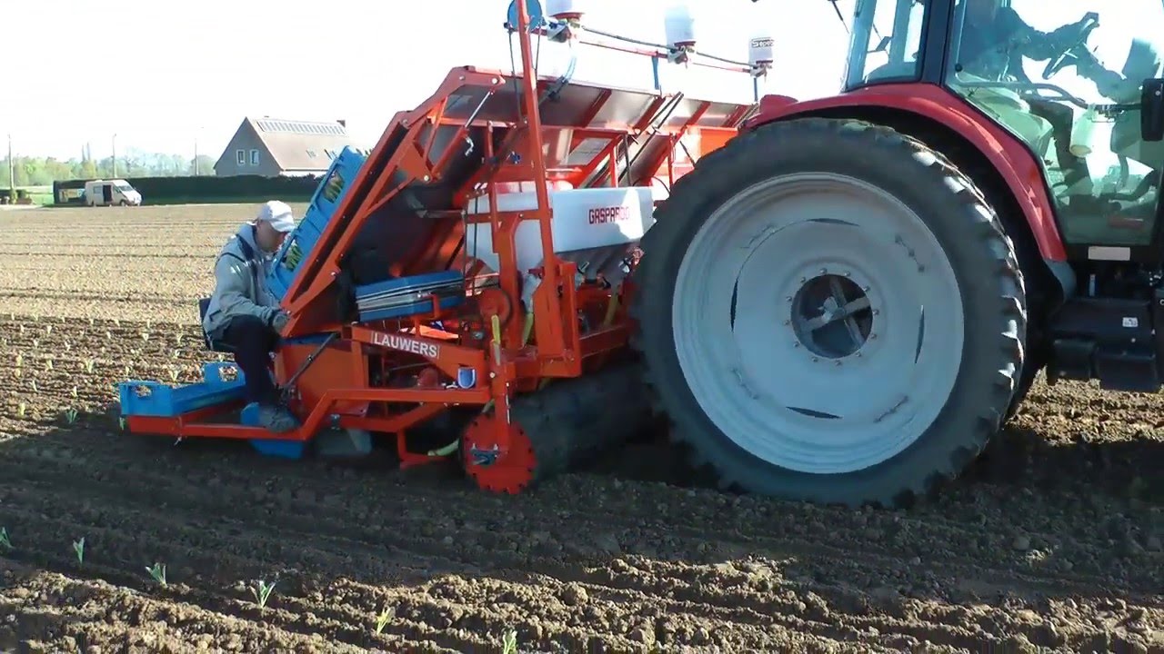 Lauwers TML Trayplanter