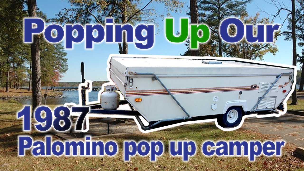 Popping up our 1987  Palomino Pop Up