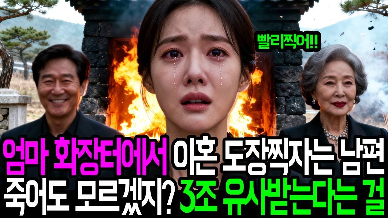 엄마 화장터에서 이혼 도장찍자는 남편 죽어도 모르겠지? 3조 유산받는다는걸
