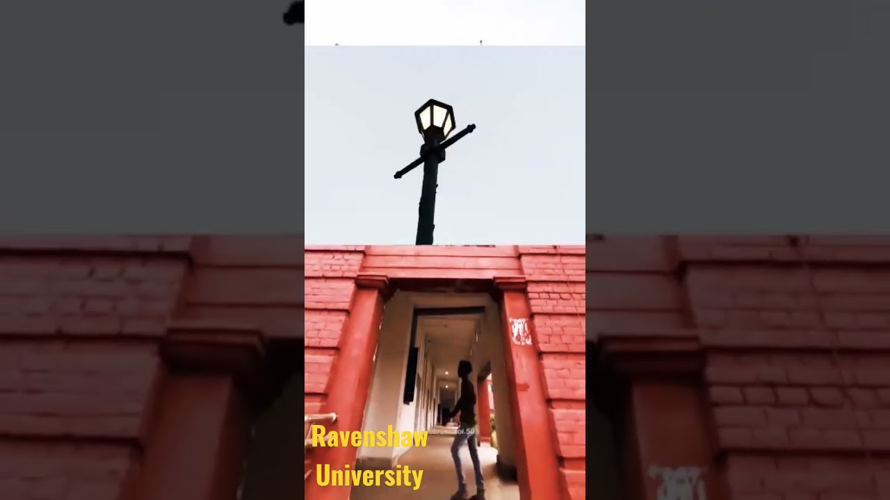 The Ravenshaw University