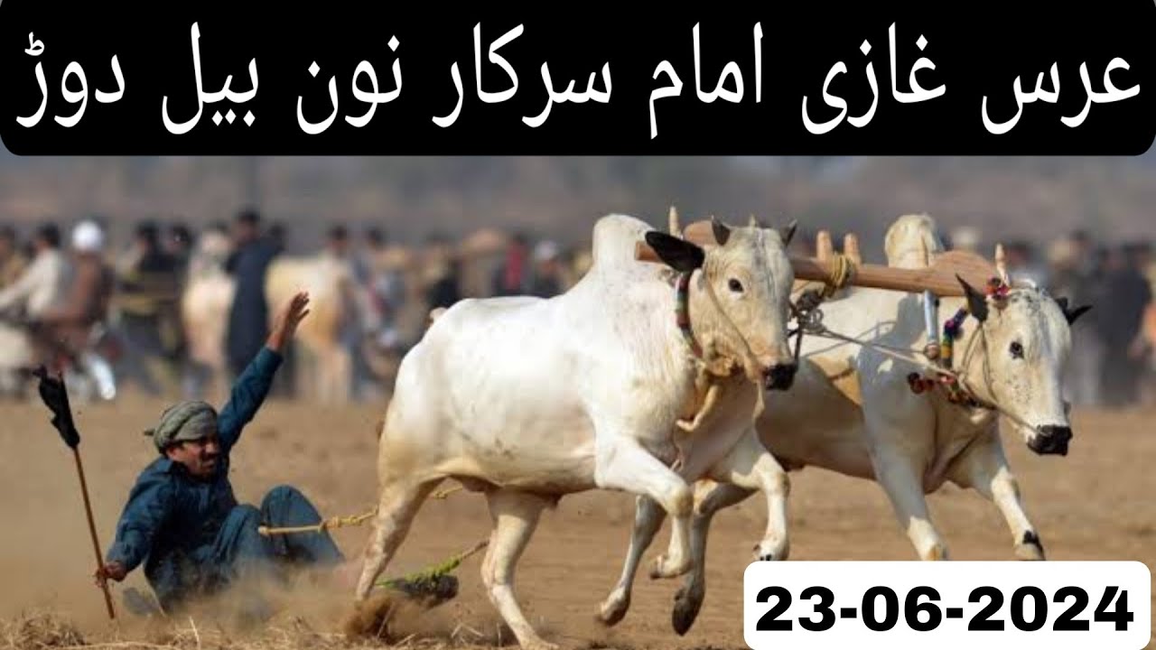 Ghazi Imam Noon Bull Race 2024 | Urs Ghazi Imam Sarkar Noon Sharif 2024