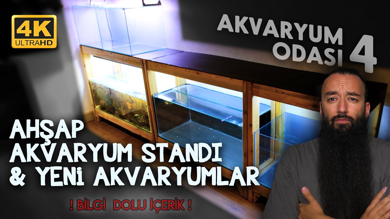 AKVARYUM ODASI 4 | AHŞAP AKVARYUM STANDI SÜPER OLDU! 💪 | TÜM BALIKLARIM 🐟 | YENİ AKVARYUMLAR 🧊