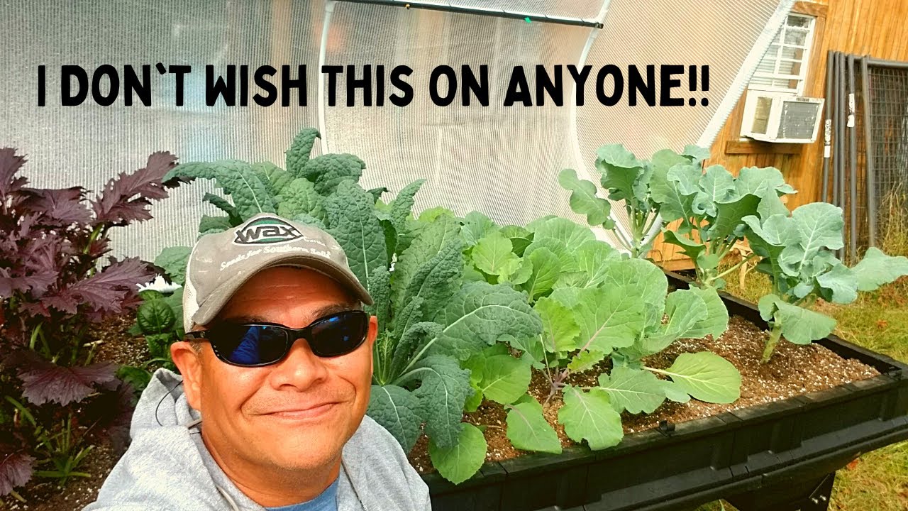 Я никому этого не желаю || Обновление Vegepod