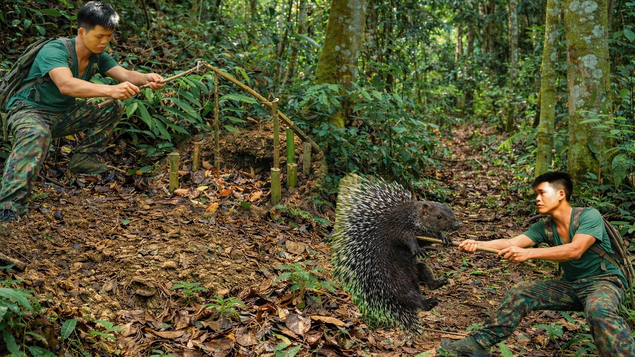 Survival in the Thorny Jungle: Tracking Wild Animals & Catching Stream Fish Alone
