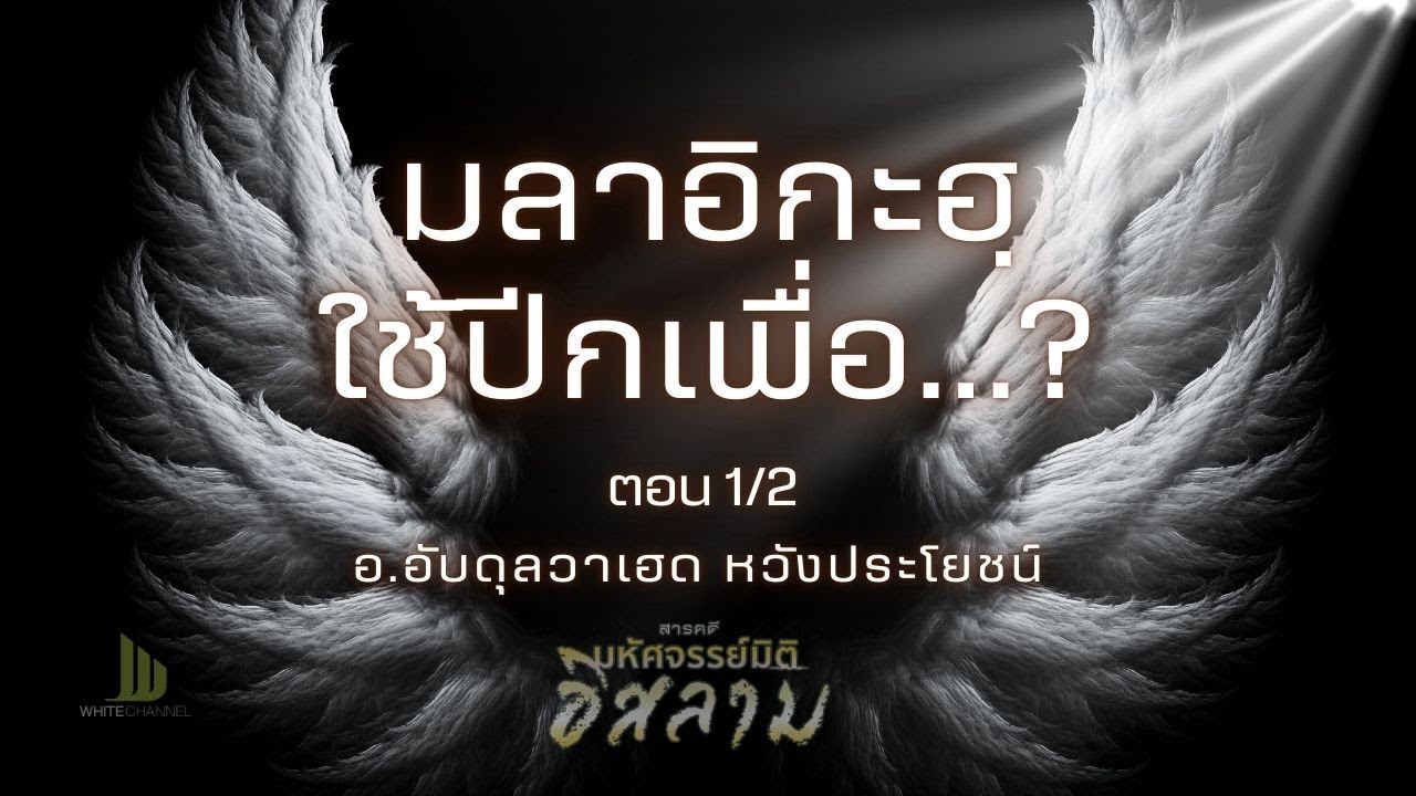 EP  01 ปีกมลาอิกะฮ ตอนที่1 #มหัศจรรย์มิติอิสลาม #อิสลาม #มุสลิม #Whitechannel #Whitesocial