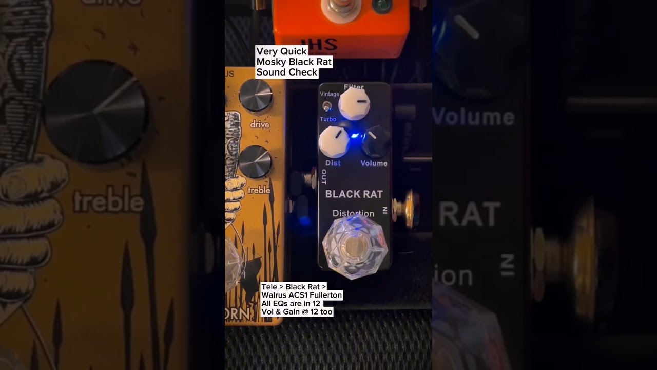 I think 'Eye of the Tiger' sounds good on this Mosky Black Rat, Just a quick test