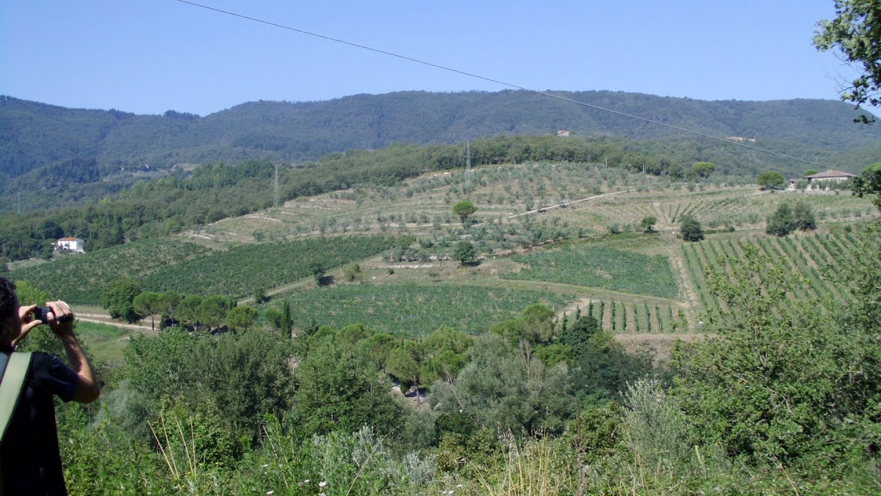 Itálie 2014 - Chianti: Cavriglia - Montaio - Badia a Coltibuono trip (Toscana, Italy)