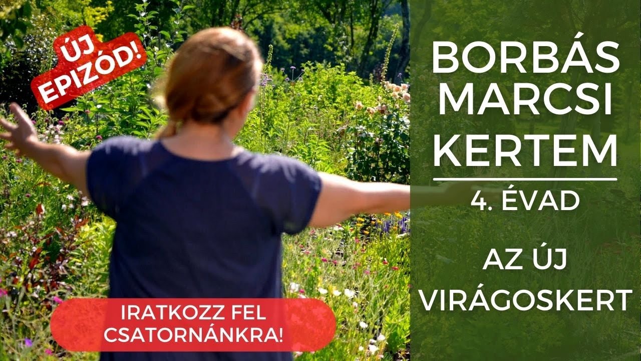 Borbás Marcsi: Kertem - Az új virágoskert