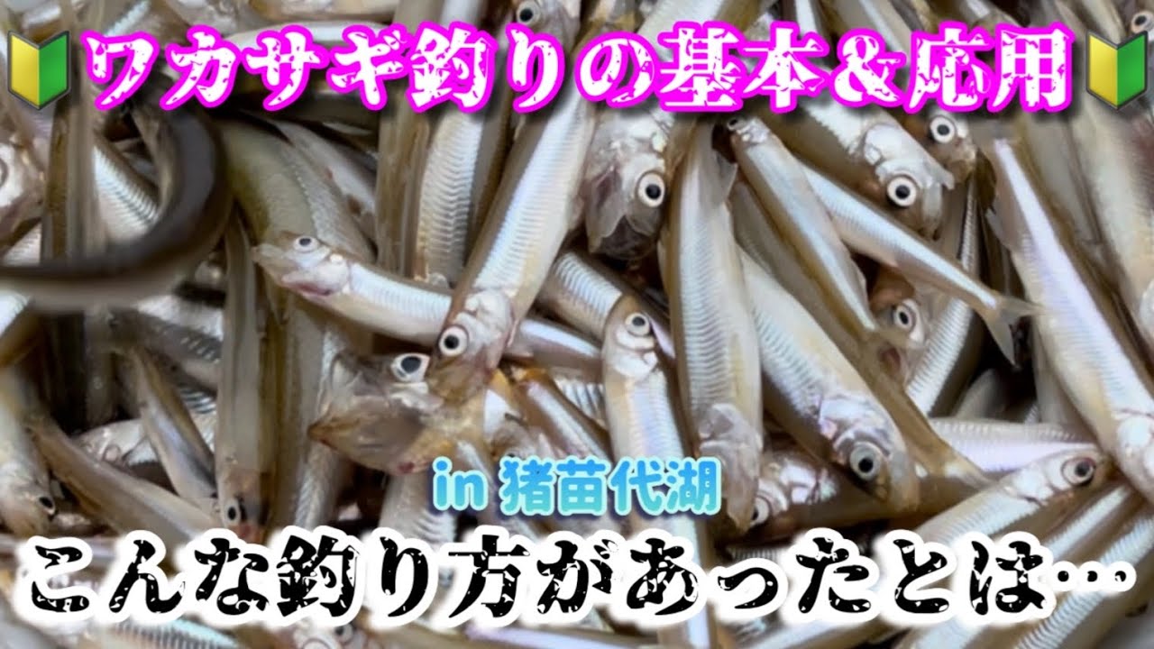 【ワカサギ釣り】【基本と応用 in猪苗代湖】こんな釣り方があったとは！！！＆サックサクに揚げる方法とは？？？