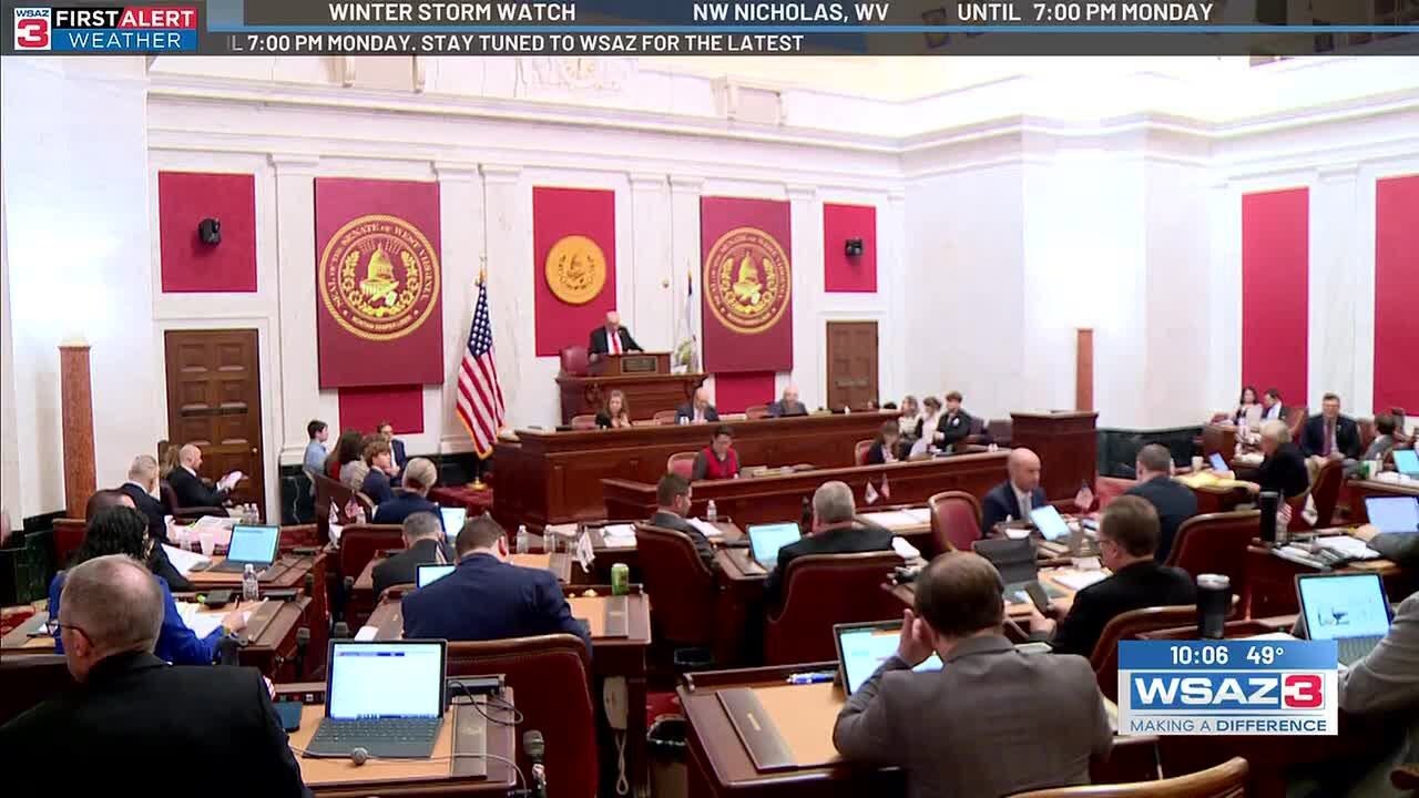 W.Va. Senate passes its version of state budget