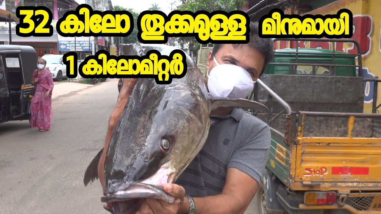 ഒരു വെല്ലുവിളി ഏറ്റെടുത്ത് മുന്നോട്ട് //AJU'S WORLD