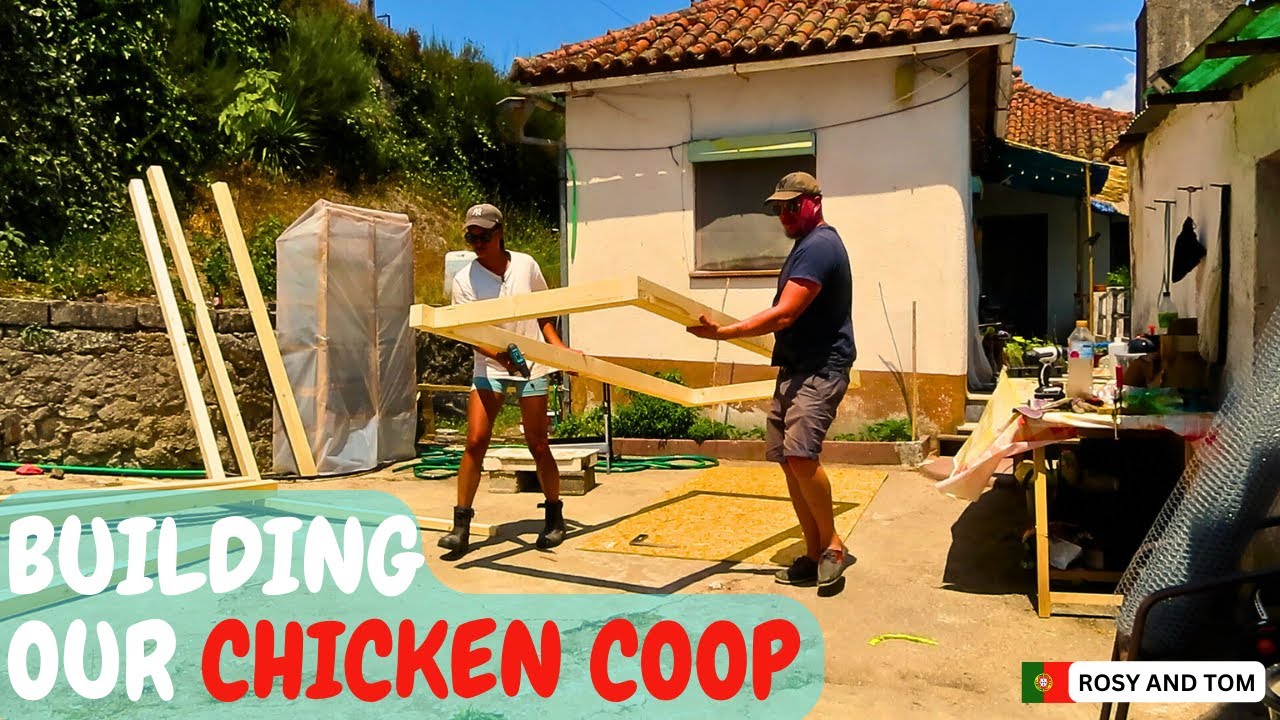Portugal homestead - sorting out our WATER IRRIGATION and building our CHICKEN COOP