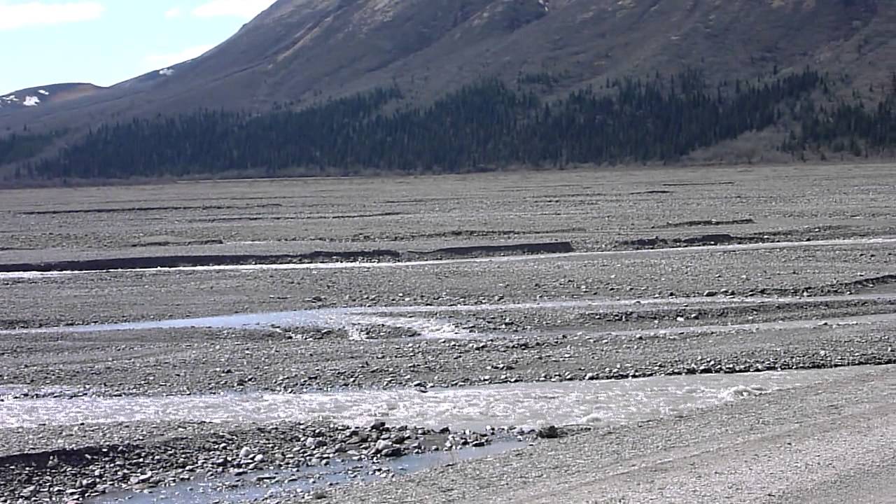 Denali National Park - Toklat River Station