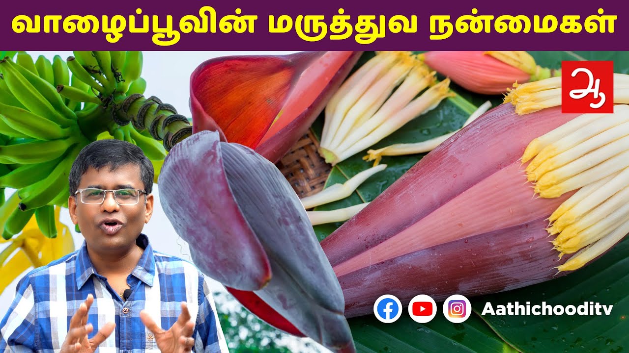 வாழைப்பூவின் மருத்துவப் பயன்கள் | The glories of the banana flower | Medicinal benefits of plantain