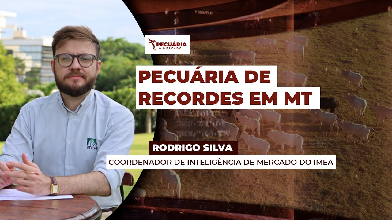 Exportações de carne crescem 28% e abate recorde chega a 7,5 milhões de cabeças em MT