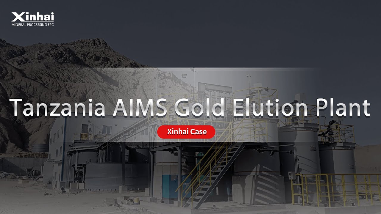 Tanzania AIMS 500Kg and 1000kg /batch Gold Elution Plant，Xinhai
