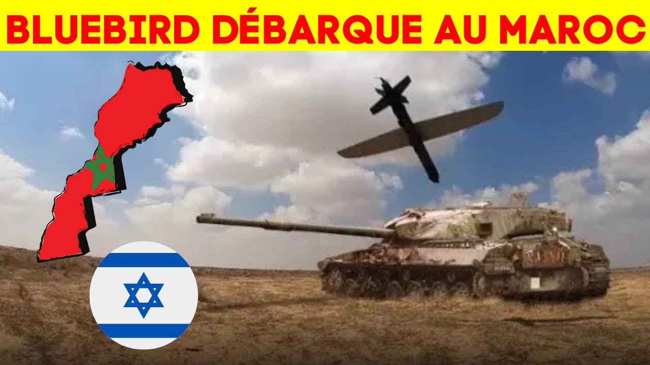 Drones SPY-X made in Morocco, BlueBird confirme ses ambitions